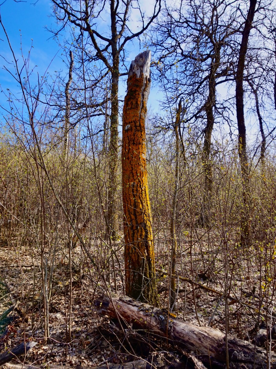 Out of the&nbsp;City