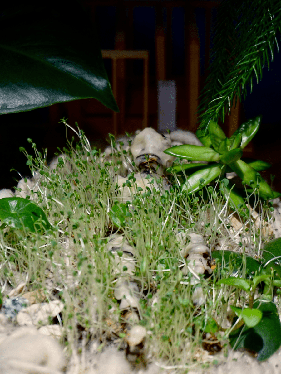 I Can Feel the Sunshine Dance Across My&nbsp;Skin