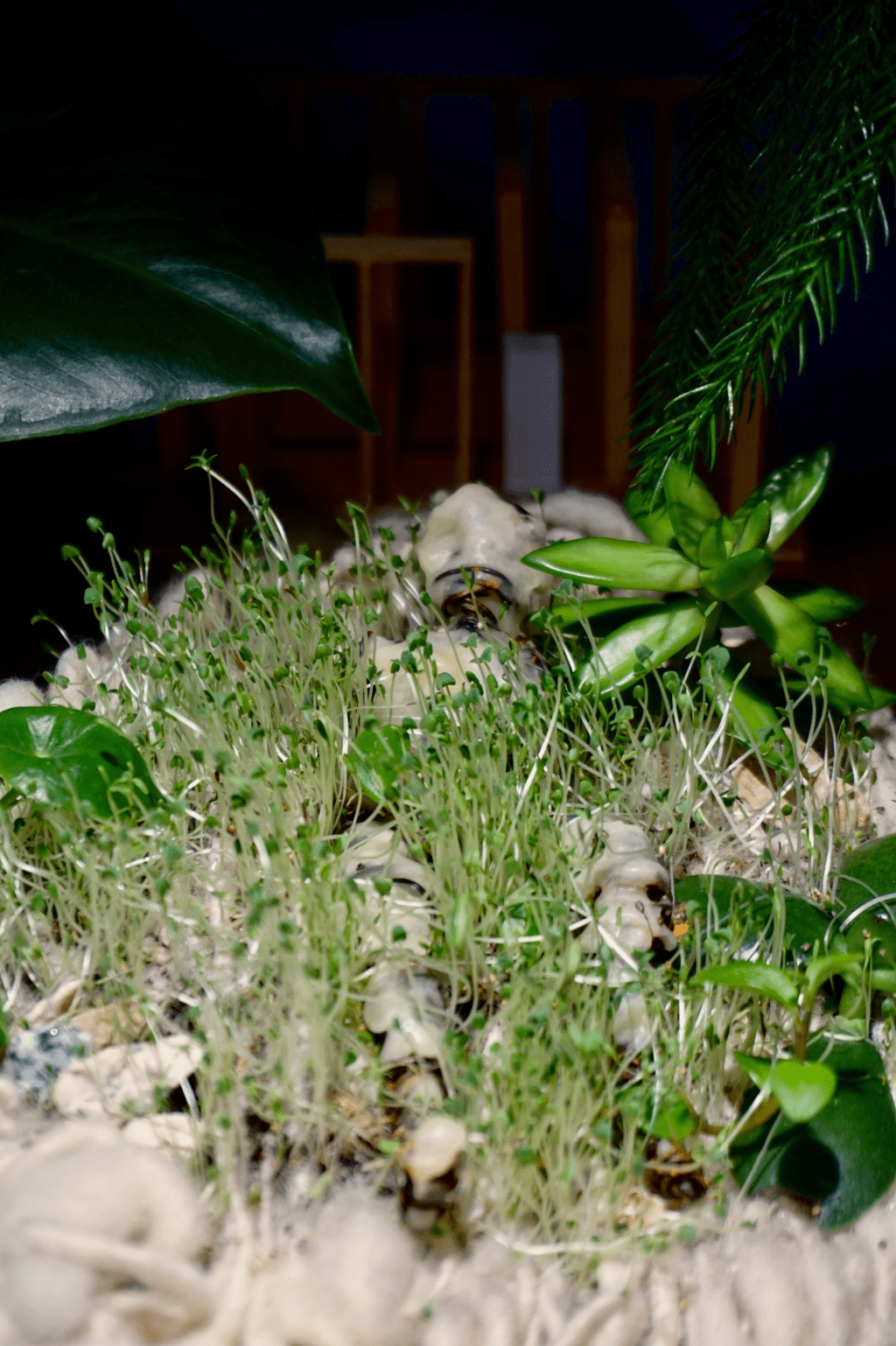 I Can Feel the Sunshine Dance Across My&nbsp;Skin