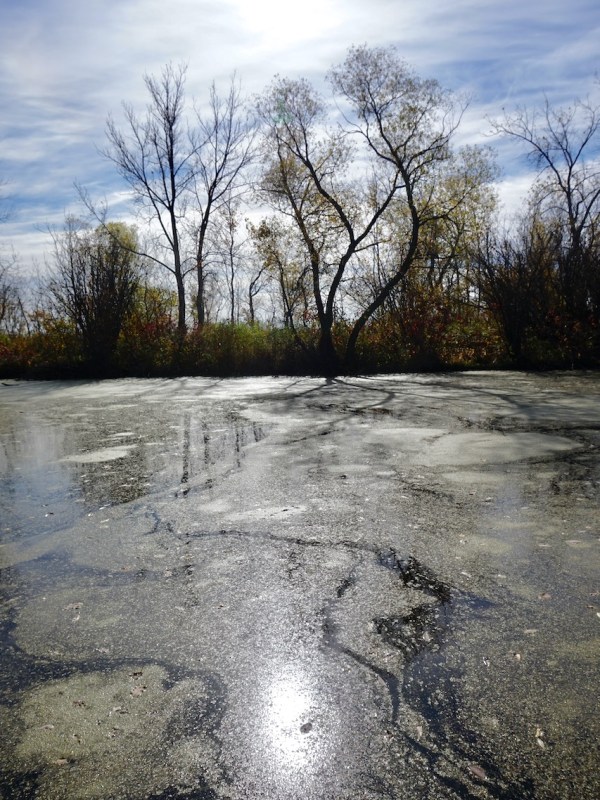 Before The Leaves&nbsp;Fall