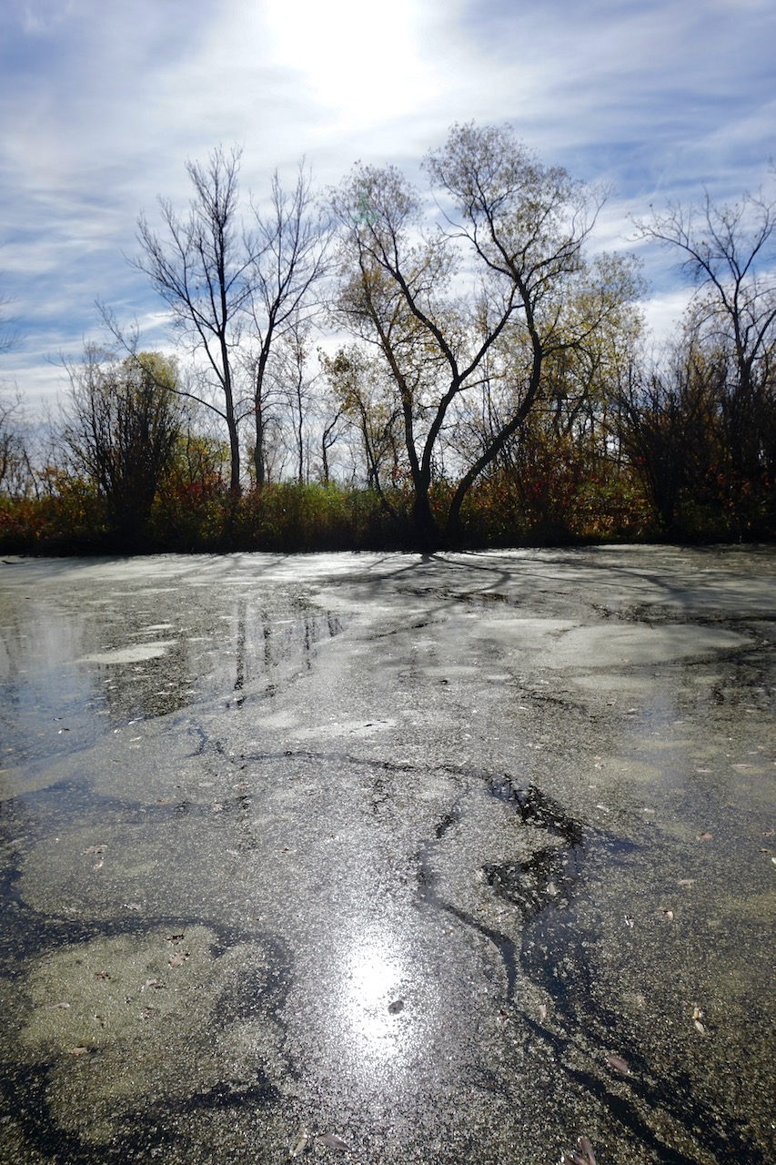 Before The Leaves&nbsp;Fall