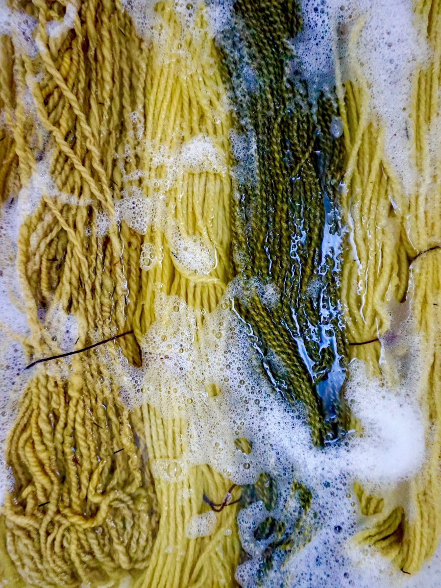 Marigold Natural Dye&nbsp;Instructions