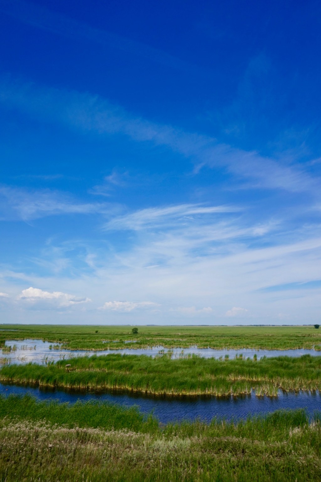 Oak Hammock Marsh