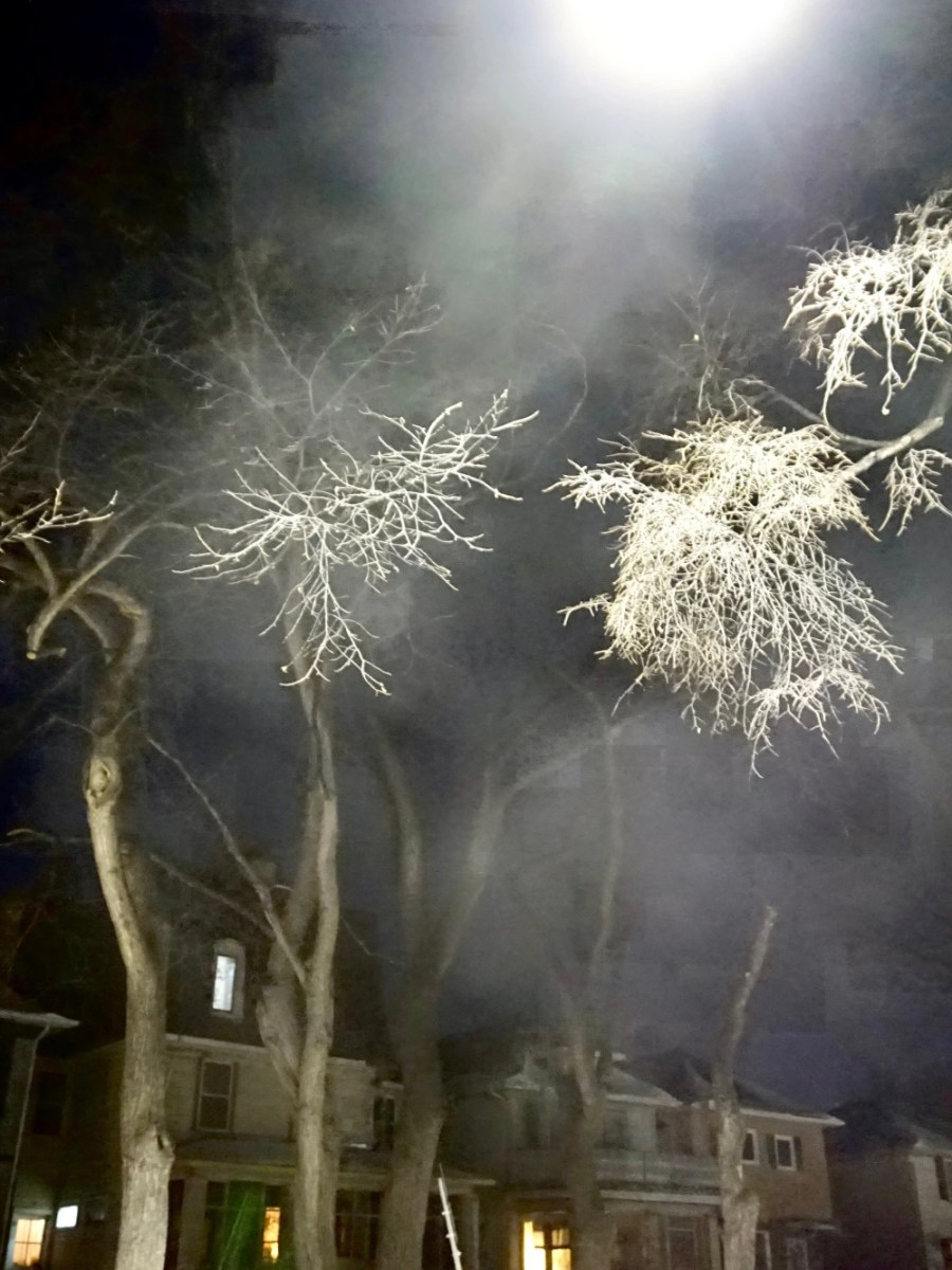 Winter Wolseley Walks