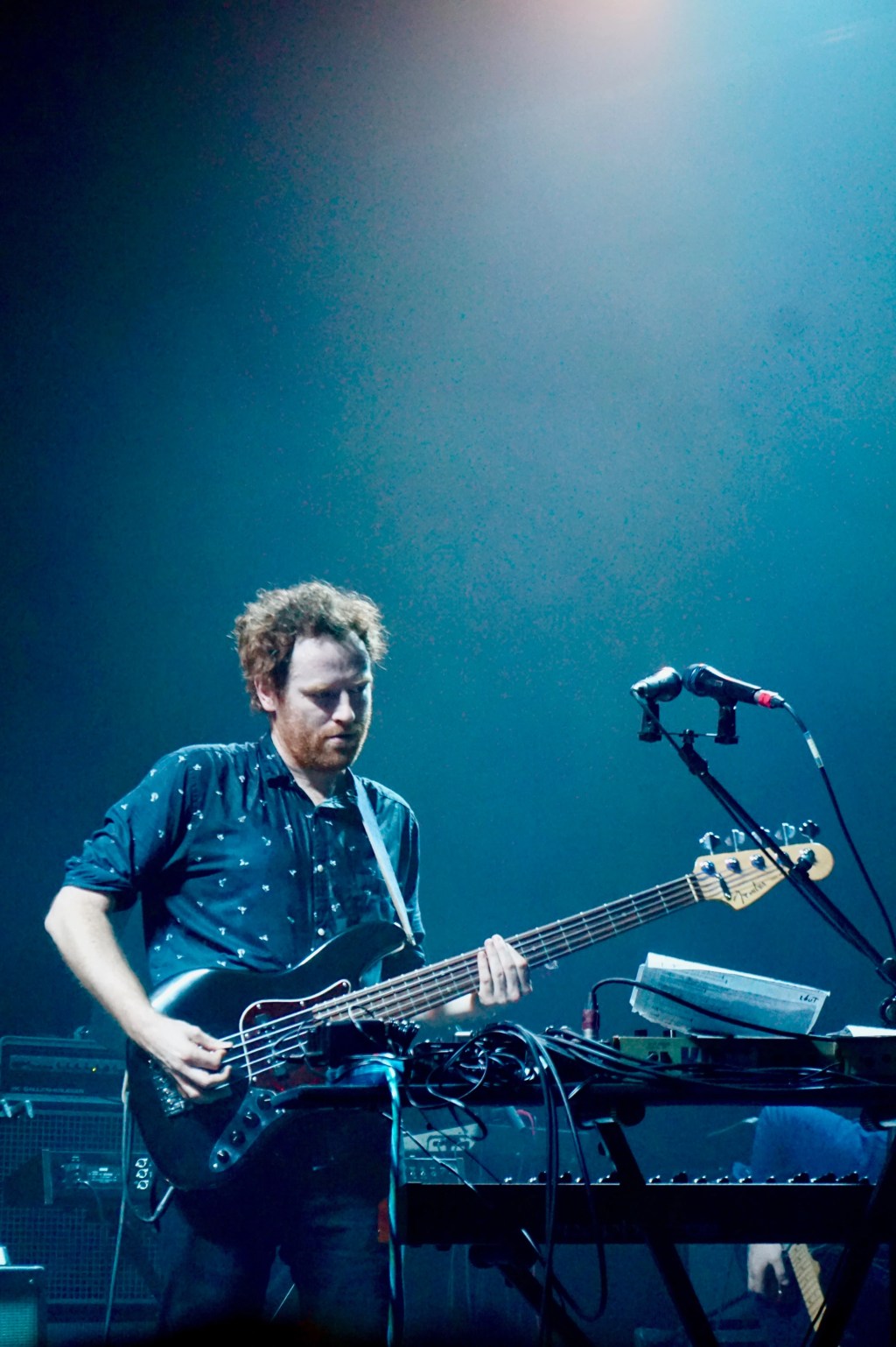 Festival Du Voyageur