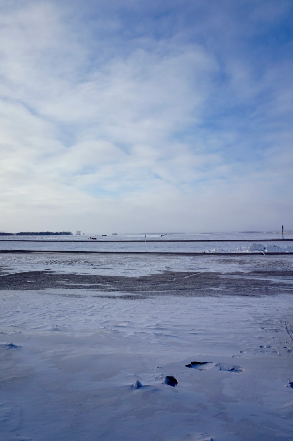 Extreme Cold Warnings and Natural Dye