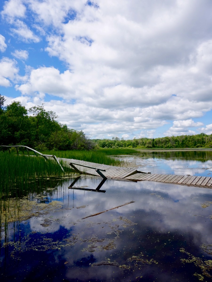 A Room with a&nbsp;View